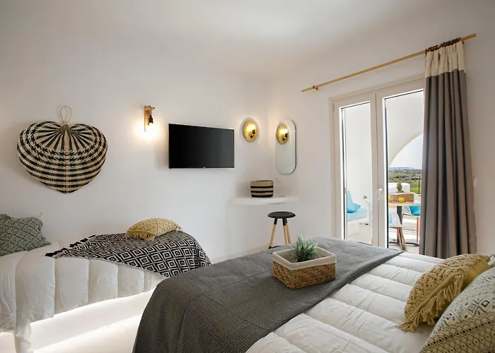 Naxos Earth Hotel Mikri Vigla