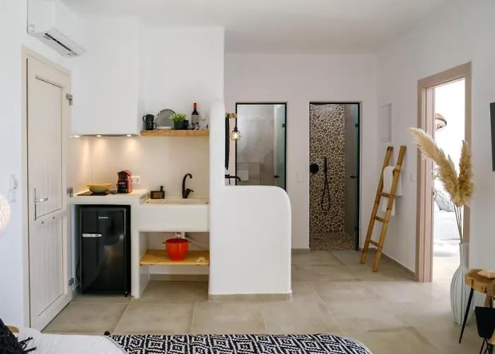 Hotel Naxos Earth Mikri Vigla