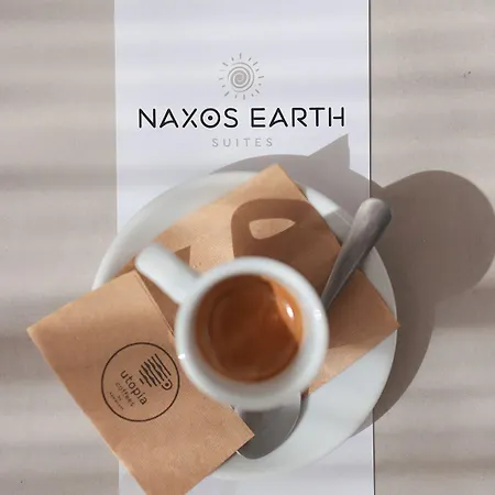 Hotel Naxos Earth *